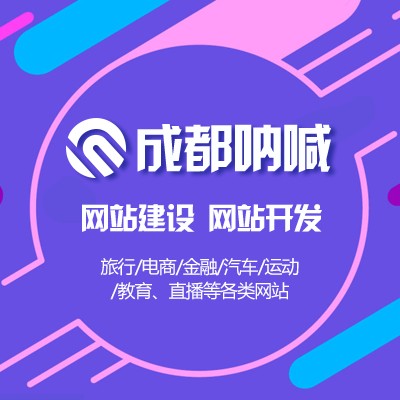 成都专业的网站建设公司——同城的网站建设