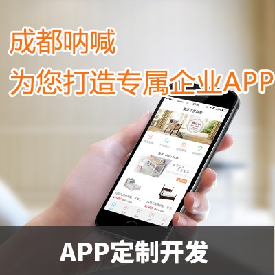 四川APP定制發(fā)|一級的APP定制發(fā)哪找