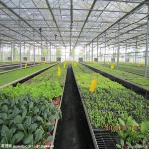 廣州溫室大棚 蔬菜大棚 大棚骨架 連棟大棚供應商