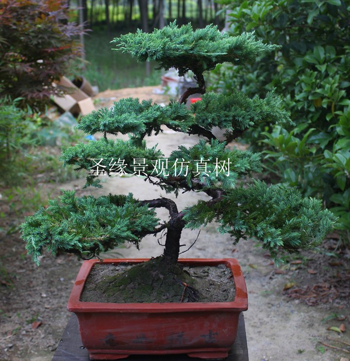 仿真松柏樹制作批發廠家 室內外仿真松柏樹葉價格 大型假椰樹仿真植物