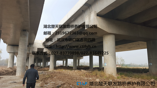 橋梁支座更換,橋梁支座同步頂升優(yōu)選【楚天聯(lián)發(fā)】原始圖片2