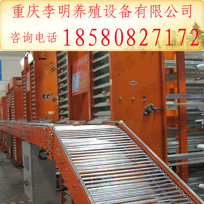 撿蛋機 養(yǎng)殖設(shè)備 全自動撿蛋機 集蛋器 撿蛋機配件 蛋雞撿蛋機原始圖片2