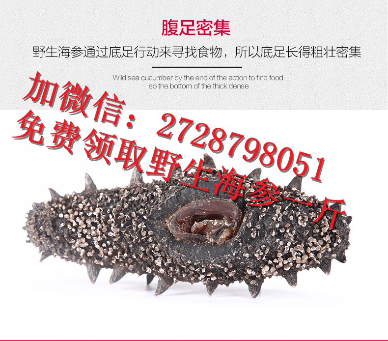 海參怎么泡發{zh0}_宜興海參專賣店