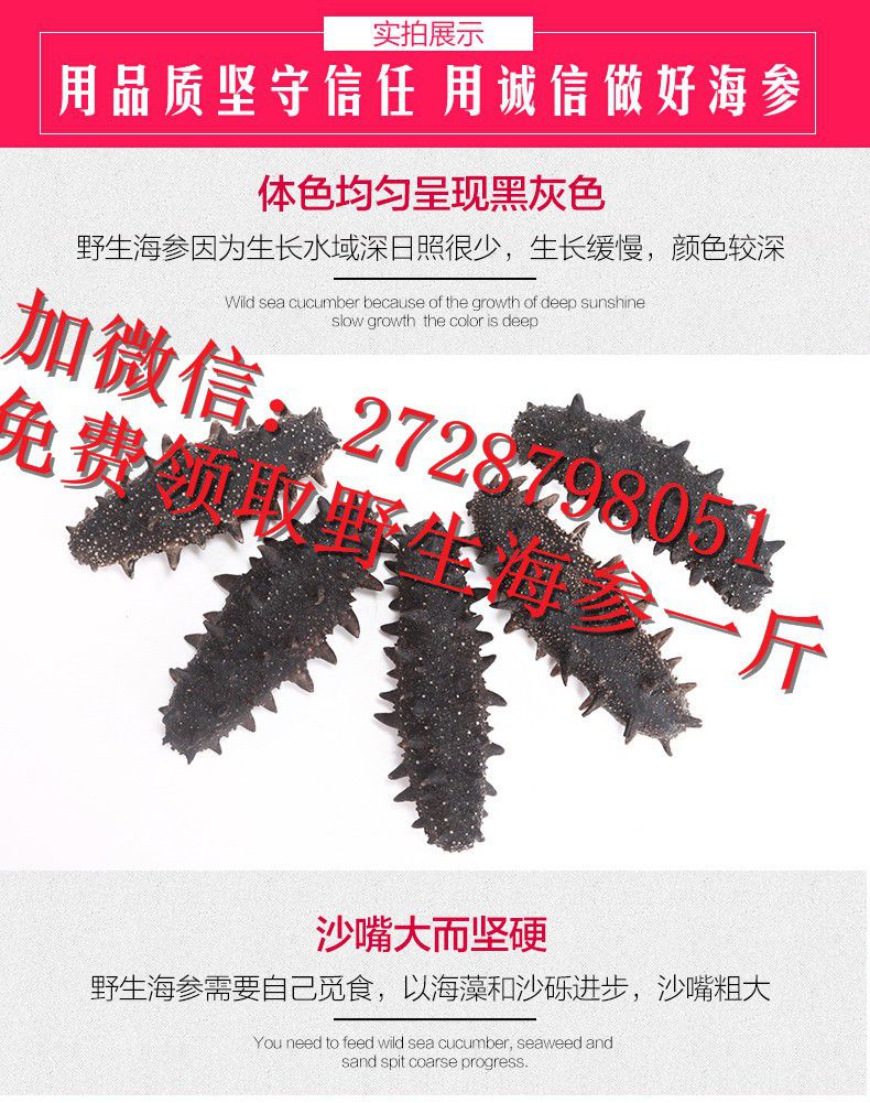 干海參_鐵力海參的價格