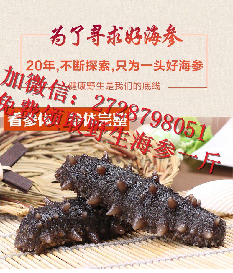 即食海參_溫嶺海參哪里有賣的