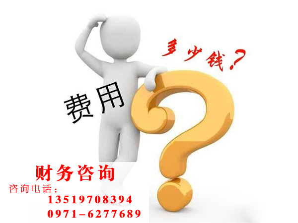 財(cái)稅服務(wù)公司——西寧代理記賬