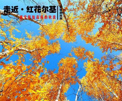 呼倫貝爾呼倫貝爾草原旅游口碑怎么樣|紅花爾基草原游