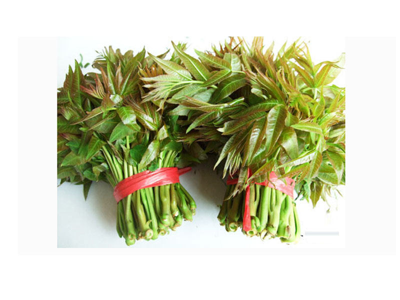 濰坊優(yōu)質(zhì)花椒供應(yīng)  ，鮮花椒批發(fā)價格批發(fā)