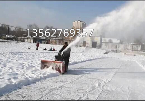 机场大量采购浩鸿小型扫雪机 手推汽油扬雪机 除雪机10台