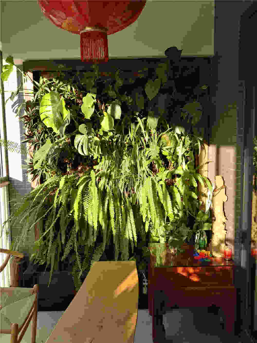 哪里能買到極好的廈墻體綠化，廈墻體綠化供應(yīng)