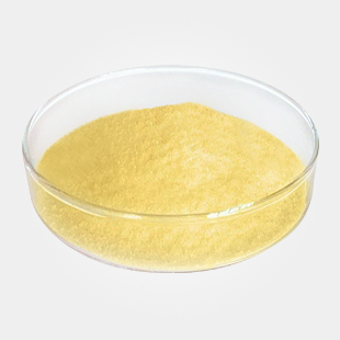 供應 南箭 CAS號9001-62-1   脂肪酶  廠家火爆直銷 優質原始圖片2