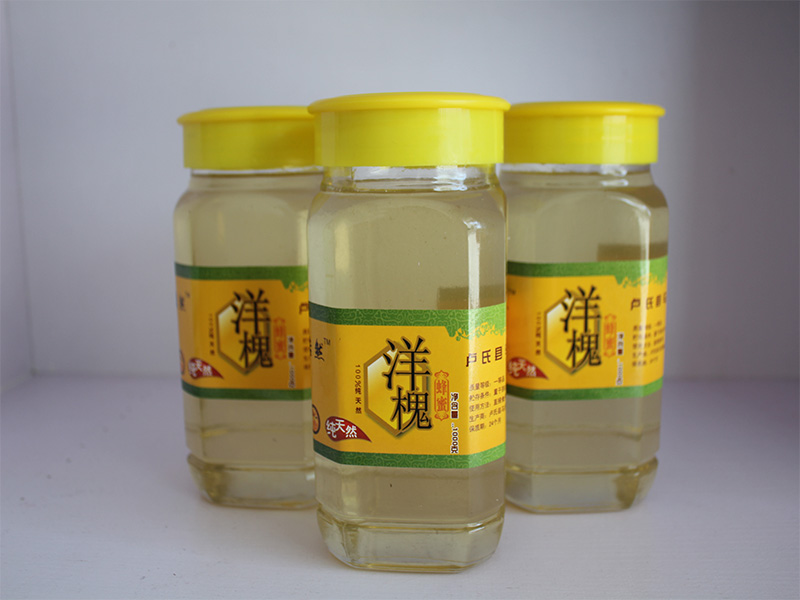 優質的蜂蜜|銷量好的洋槐蜜批發商