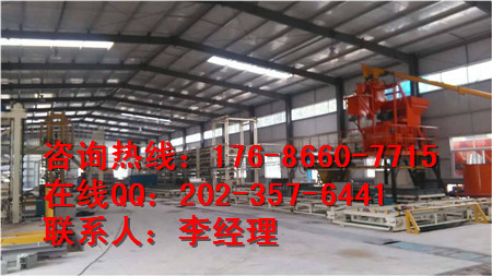 綠色建筑新項目保溫砌塊設備原始圖片2
