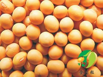 安徽大豆批發(fā)供應(yīng)【五谷雜糧-好東西】安徽大豆批發(fā)供應(yīng)商、安徽大豆批發(fā)品牌
