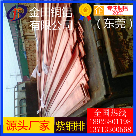 C10200無氧銅排 接地紫銅排 T3國標(biāo)紅銅排 紫銅排10x8mm原始圖片2