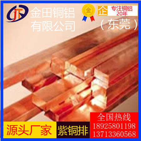 C10200無氧銅排 接地紫銅排 T3國標(biāo)紅銅排 紫銅排10x8mm原始圖片3