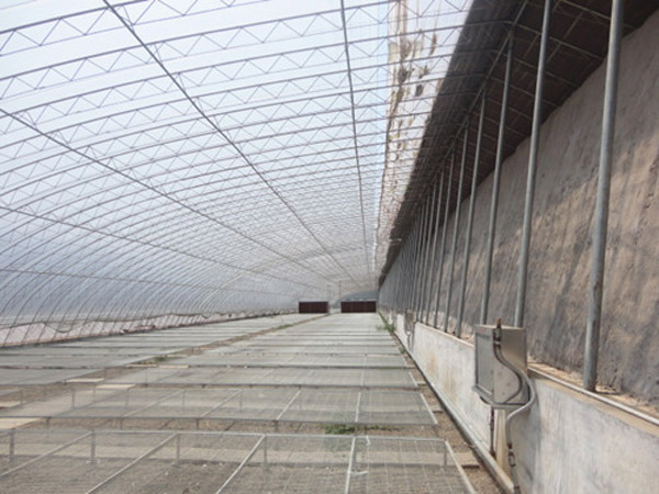 超值的智能連棟溫室推薦_山東智能連棟溫室