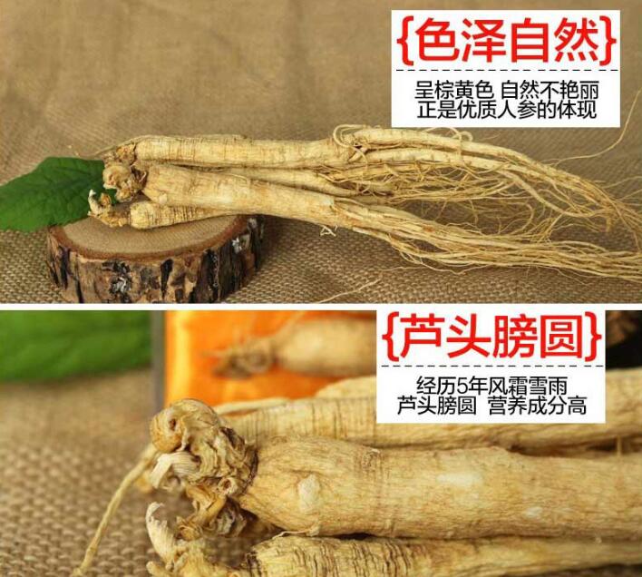 人參批發(fā) 生曬參供應(yīng) 白參供貨