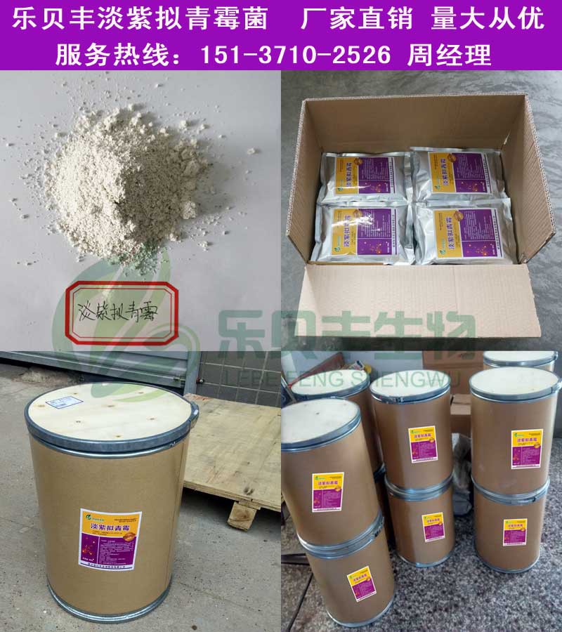 淡紫拟青霉菌种怎么用