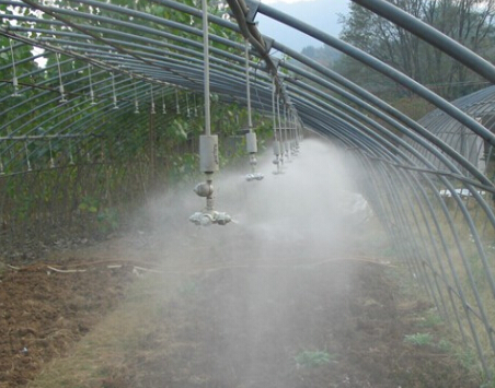 宏润节水设备提供热门的迷宫式滴灌带_寿光大田蔬菜种植滴灌带