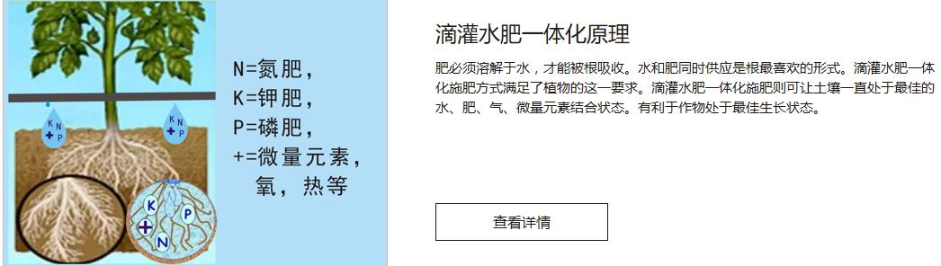 海南滴灌系統(tǒng) 廣西滴灌設(shè)備