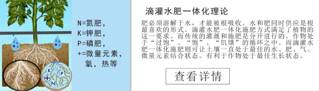 哈密瓜水肥一體化方案