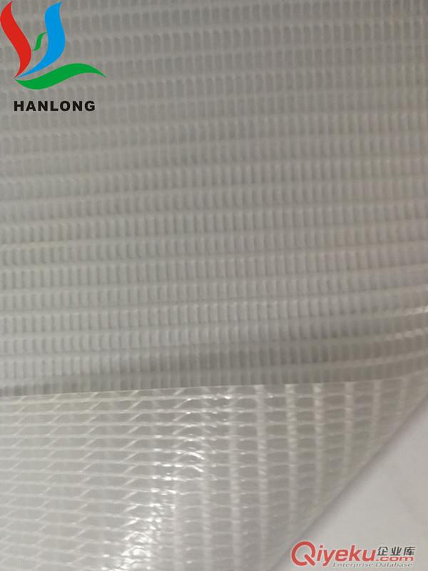 廠家直銷(xiāo)PVC透明夾網(wǎng)布、透明網(wǎng)格布，