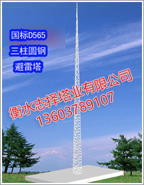 避雷塔原始圖片3