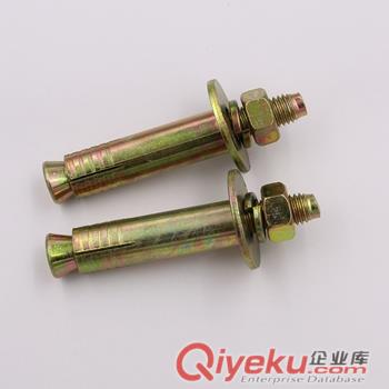 供應12*100電梯專用膨脹螺栓 電梯膨脹栓廠家 電梯壁虎