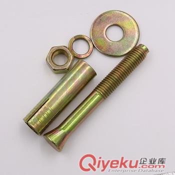 供應12*100電梯專用膨脹螺栓 電梯膨脹栓廠家 電梯壁虎