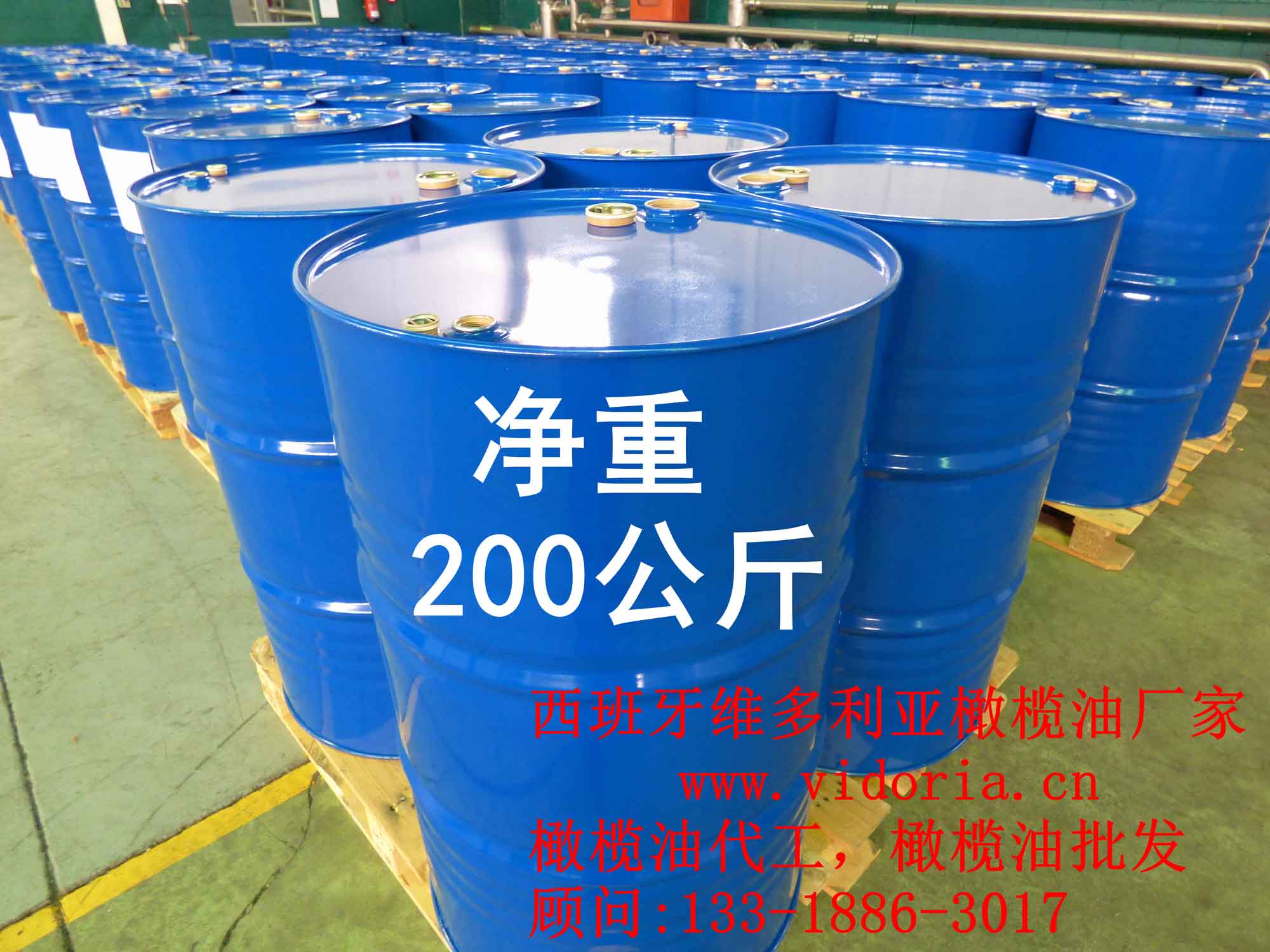 進口橄欖油500ml——首屈一指的橄欖油生產廠家就是維圣橄欖油廠家