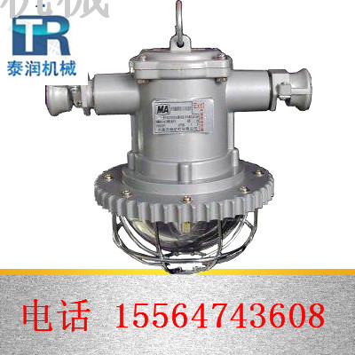 DGS18/127礦用隔爆型led巷道燈