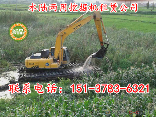 水陸挖掘機(jī)租賃 出租水上挖機(jī)