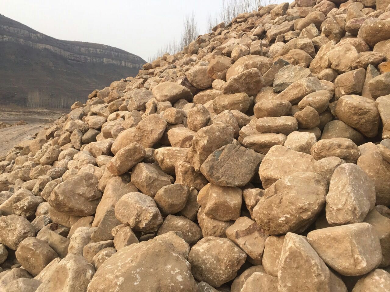 供應青島龜紋石，青島千層石，青島水紋石，青島假山石。龜紋石別墅假山安裝，龜紋石駁岸施工