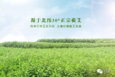 養(yǎng)生艾草貼微商招商中心 鑫璽