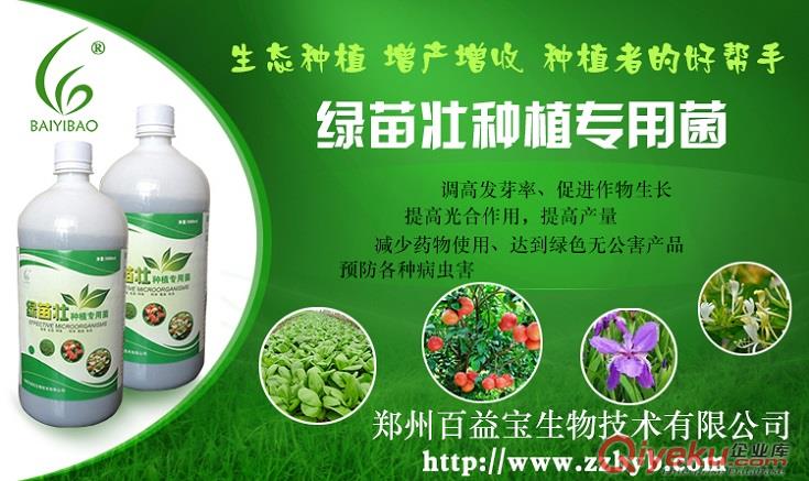 大量批發種植專用em菌種植有機蔬菜瓜果