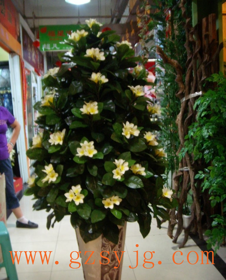 東莞哪里買仿真雞蛋花樹 都江堰仿真雞蛋花樹 