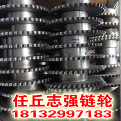 重慶供應鏈輪_河北鏈輪廠家_鏈輪鏈條廠家原始圖片2
