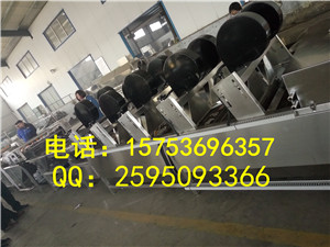 地瓜清洗風(fēng)干線，胡蘿卜清洗機，食品強流風(fēng)干線