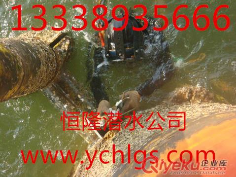 橋梁墩柱水下樁基檢查加固維修施工公司原始圖片2