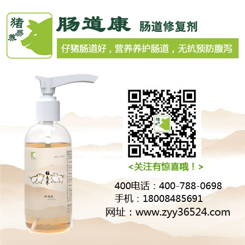 仔豬換料拉稀怎么辦？豬易養當屬{sx}！