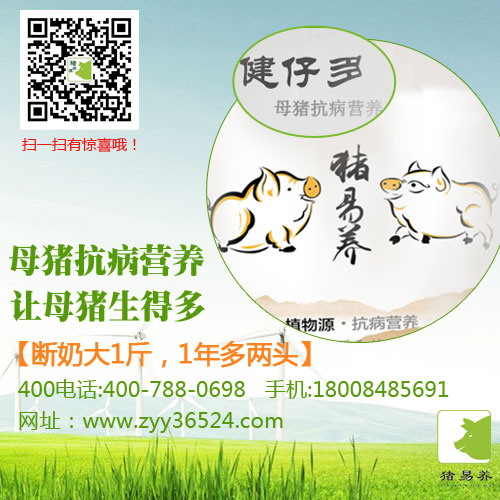 如何控制母豬流產(chǎn)？豬易養(yǎng)告訴您！