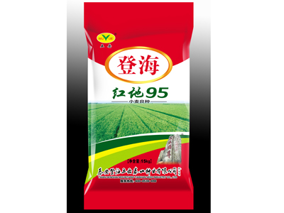 2016年底大促-專業小麥種子供應商！