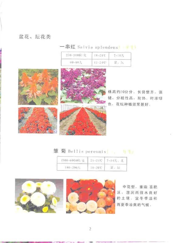 供应花卉种子组合/花卉种子价格