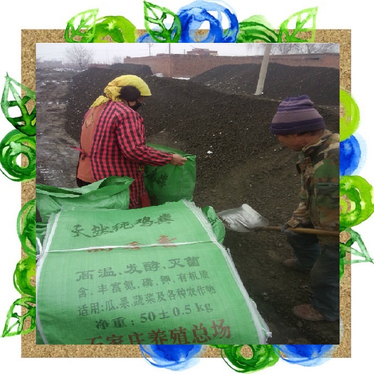 【王實(shí)在】北京干雞糞廠家