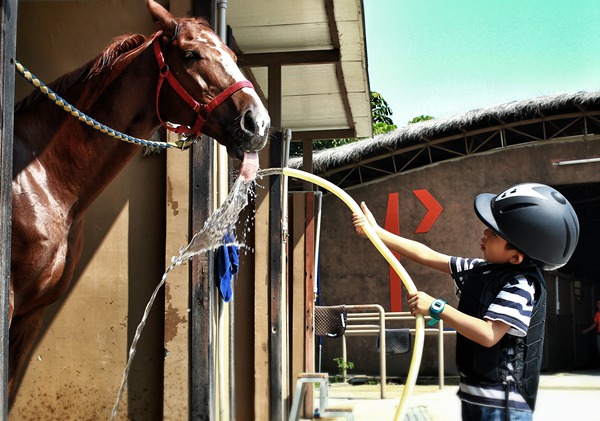 廈門馬術俱樂部 廈門榮成馬術俱樂部