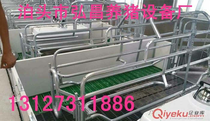 歐式母豬產床怎么安裝 世昌畜牧專業生產國標2.5熱鍍鋅歐式產床設計圖原始圖片3