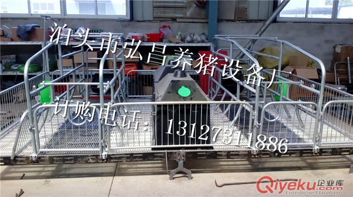 母豬雙體產床鍍鋅2.0一套的價格 母豬位鑄鐵漏糞板防夾奶頭產床