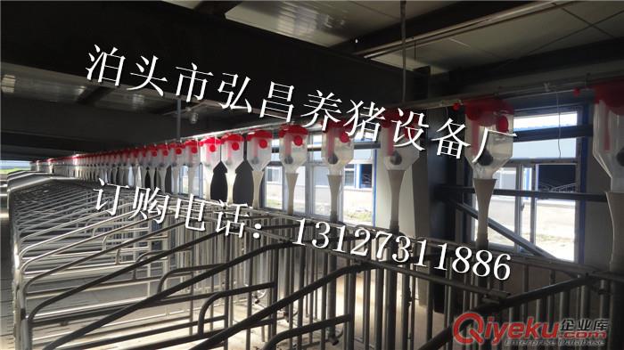 豬舍安裝自動化送料設備設計圖及規劃 專業設計豬場全自動料線廠家電話原始圖片3