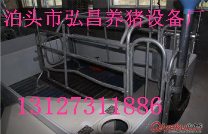 熱鍍鋅新型歐式母豬產床養豬設備生產廠家優質出售原始圖片2